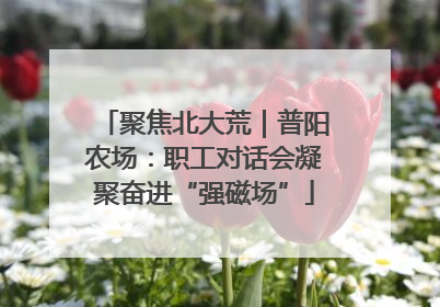 聚焦北大荒｜普阳农场：职工对话会凝聚奋进“强磁场”