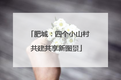 肥城：四个小山村共建共享新图景