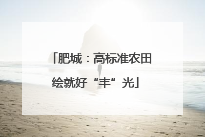肥城：高标准农田绘就好“丰”光