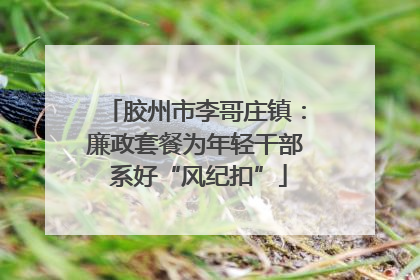 胶州市李哥庄镇：廉政套餐为年轻干部 系好“风纪扣”