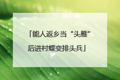 能人返乡当“头雁” 后进村蝶变排头兵