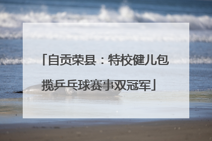 自贡荣县：特校健儿包揽乒乓球赛事双冠军