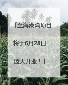 至海港湾项目将于6月28日盛大开业！
