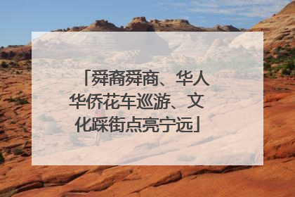 舜裔舜商、华人华侨花车巡游、文化踩街点亮宁远