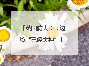 英国防大臣：边境“已经失控”