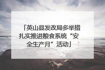 英山县发改局多举措扎实推进粮食系统“安全生产月”活动