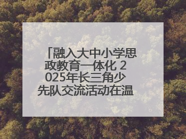 融入大中小学思政教育一体化 2025年长三角少先队交流活动在温岭举办