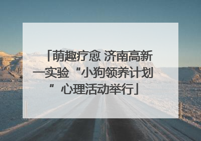 萌趣疗愈 济南高新一实验“小狗领养计划”心理活动举行