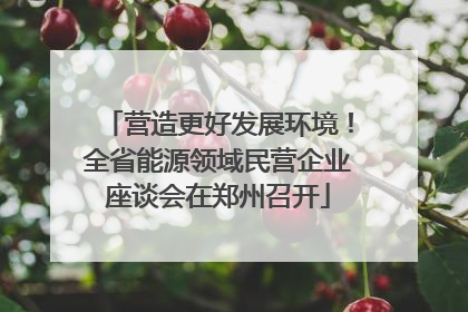 营造更好发展环境！全省能源领域民营企业座谈会在郑州召开