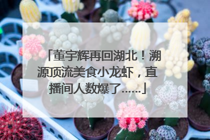 董宇辉再回湖北！溯源顶流美食小龙虾，直播间人数爆了……