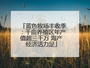 蓝色牧场丰收季：千亩养殖区年产值超三千万 海产经济活力足