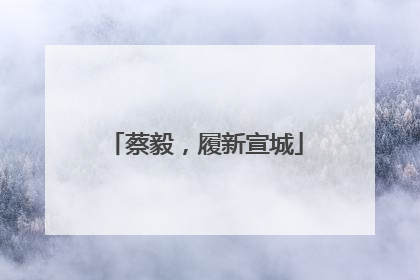 蔡毅，履新宣城
