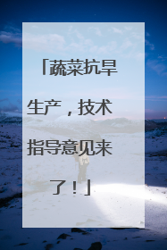 蔬菜抗旱生产，技术指导意见来了！