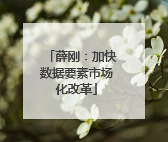 薛刚：加快数据要素市场化改革