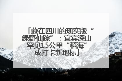 藏在四川的现实版“绿野仙踪”：宜宾深山罕见15公里“稻海”成打卡新地标