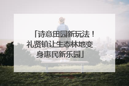 诗意田园新玩法！礼贤镇让生态林地变身惠民新乐园