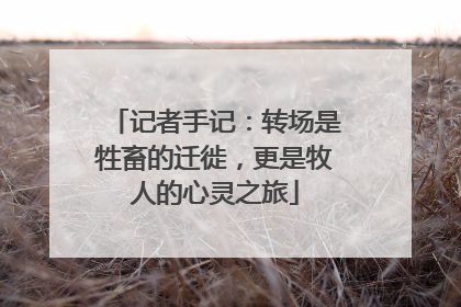 记者手记：转场是牲畜的迁徙，更是牧人的心灵之旅