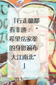 行走赣鄱看非遗：“希望岳家拳的身影遍布大江南北”