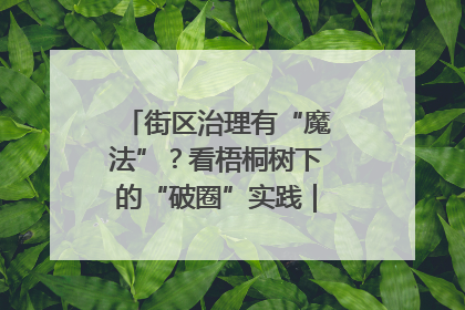 街区治理有“魔法”？看梧桐树下的“破圈”实践｜我在街区当书记