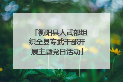 衡阳县人武部组织全县专武干部开展主题党日活动
