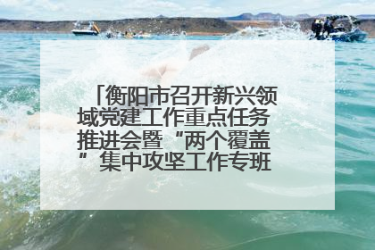 衡阳市召开新兴领域党建工作重点任务推进会暨“两个覆盖”集中攻坚工作专班 第一次会议