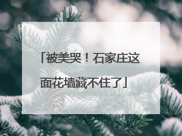 被美哭！石家庄这面花墙藏不住了