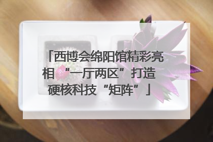 西博会绵阳馆精彩亮相 “一厅两区”打造硬核科技“矩阵”