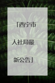 西宁市人社局最新公告