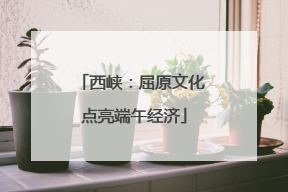 西峡：屈原文化点亮端午经济