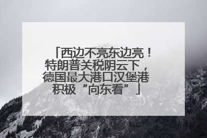 西边不亮东边亮！特朗普关税阴云下，德国最大港口汉堡港积极“向东看”