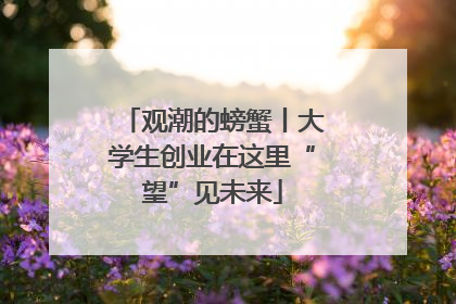 观潮的螃蟹丨大学生创业在这里“望”见未来
