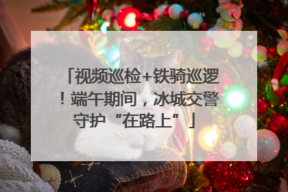 视频巡检+铁骑巡逻！端午期间，冰城交警守护“在路上”