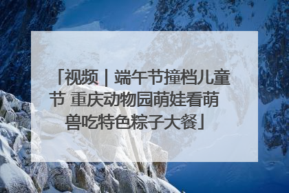 视频｜端午节撞档儿童节 重庆动物园萌娃看萌兽吃特色粽子大餐