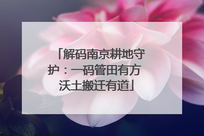 解码南京耕地守护：一码管田有方 沃土搬迁有道