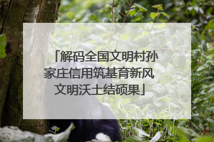 解码全国文明村孙家庄信用筑基育新风文明沃土结硕果