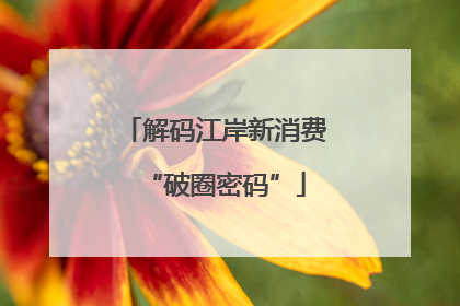 解码江岸新消费“破圈密码”