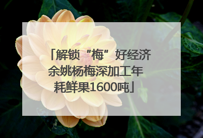 解锁“梅”好经济 余姚杨梅深加工年耗鲜果1600吨