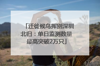 迁徙候鸟挥别深圳北归：单日监测数量最高突破2万只