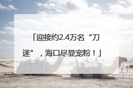 迎接约2.4万名“刀迷”，海口尽显宠粉！
