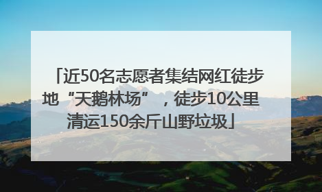 近50名志愿者集结网红徒步地“天鹅林场”，徒步10公里清运150余斤山野垃圾