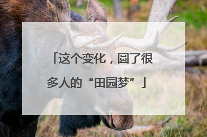 这个变化，圆了很多人的“田园梦”