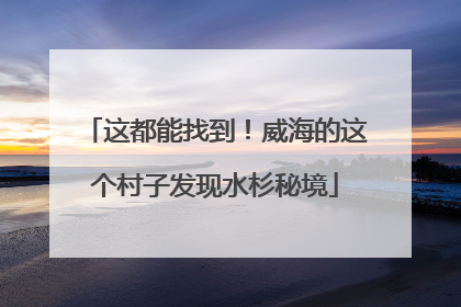 这都能找到！威海的这个村子发现水杉秘境