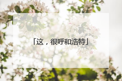 这，很呼和浩特