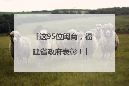 这95位闽商，福建省政府表彰！