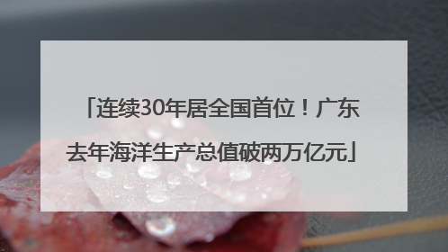 连续30年居全国首位！广东去年海洋生产总值破两万亿元