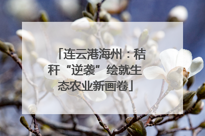 连云港海州：秸秆“逆袭”绘就生态农业新画卷