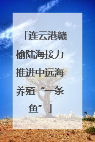 连云港赣榆陆海接力推进中远海养殖“一条鱼”