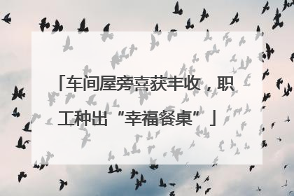 车间屋旁喜获丰收，职工种出“幸福餐桌”