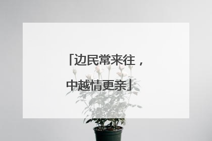边民常来往，中越情更亲