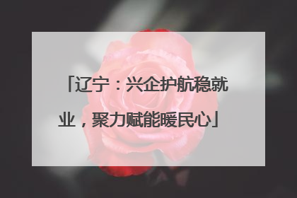辽宁：兴企护航稳就业，聚力赋能暖民心